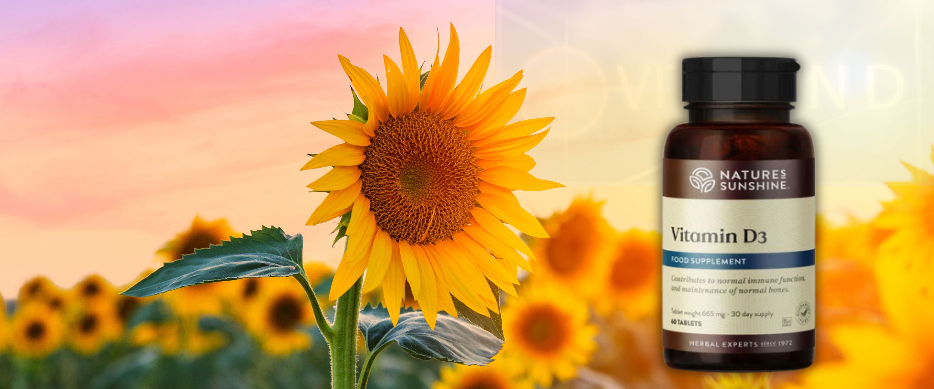 The Power of Light Balancing Circadian Rhythms, Enhancing Sleep, and