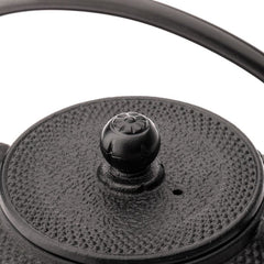 Jang Cast Iron Teapot