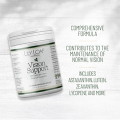Vision Support