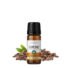Clove Bud Organic Essential Oil