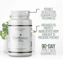 Cordyceps