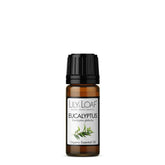 Eucalyptus Organic Essential Oil