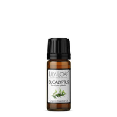 Eucalyptus Organic Essential Oil