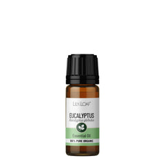 Eucalyptus Organic Essential Oil