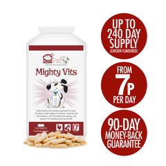 Mighty Vits