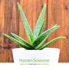 Nature’s Sunshine - Aloe Vera Juice - Liquid