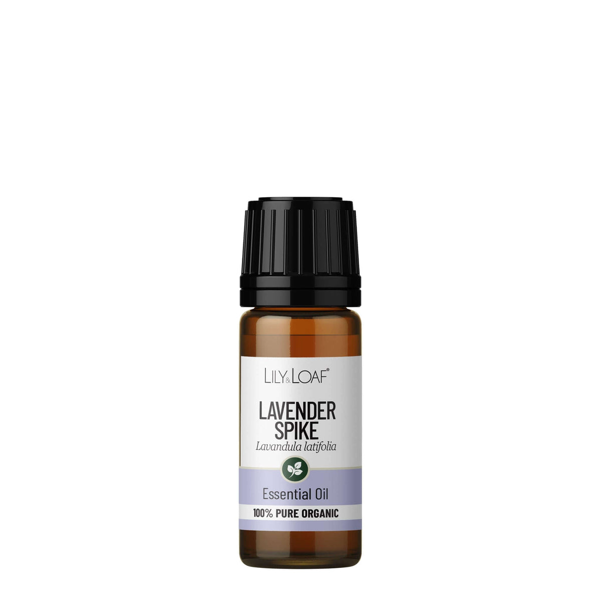 Lavender (Spike) Essential Oil