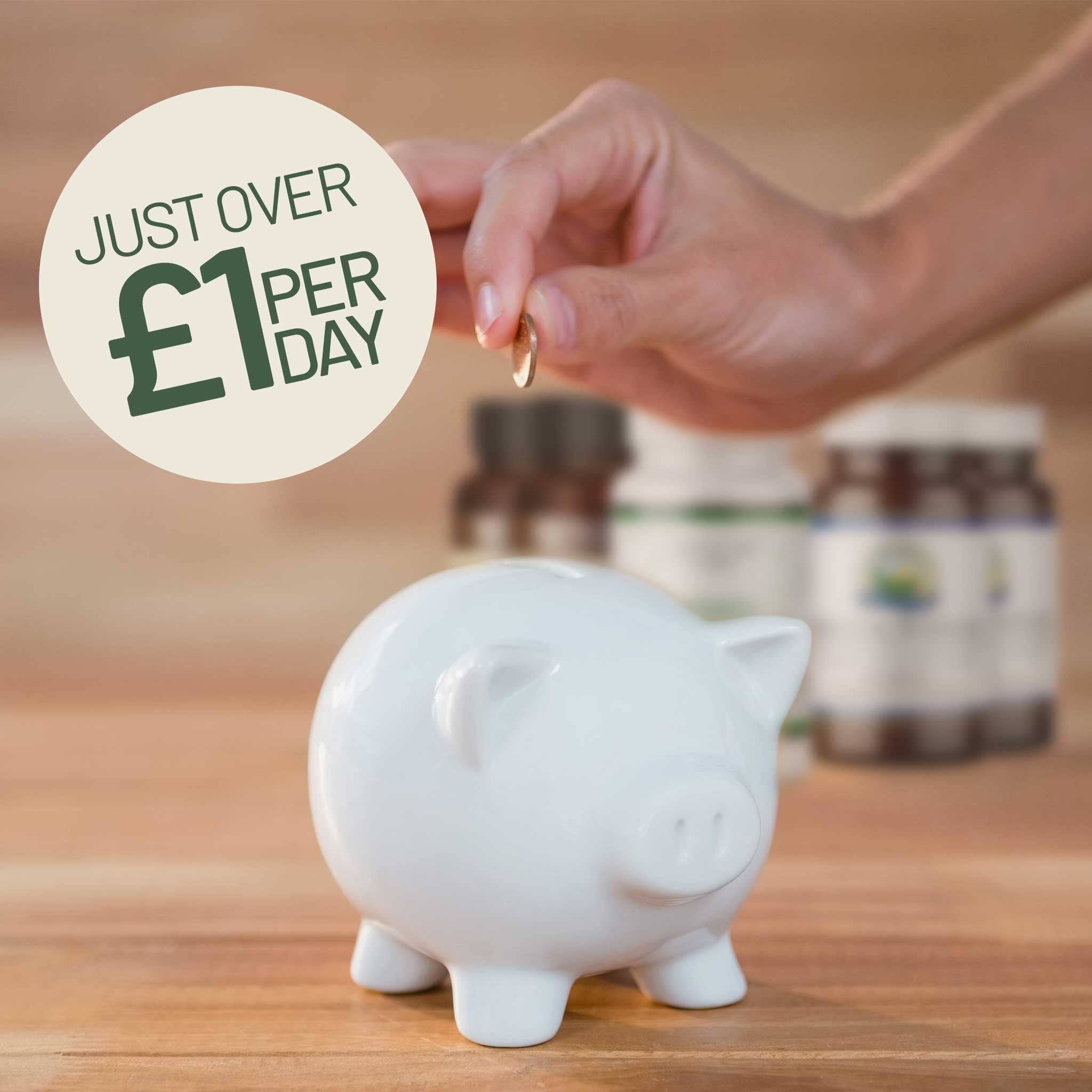 Joint support  Money saving collection