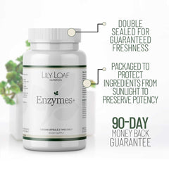 Enzymes +