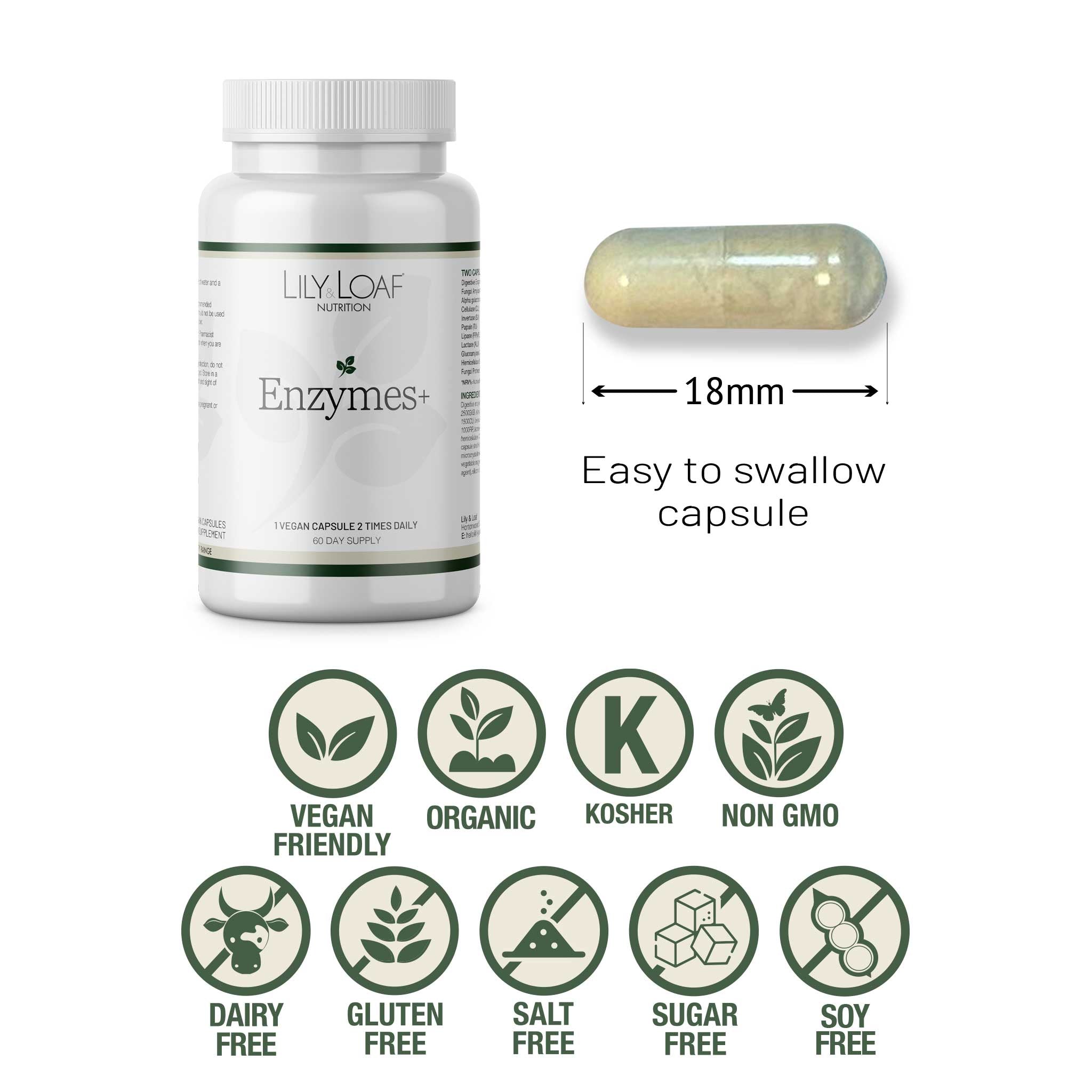 Enzymes +