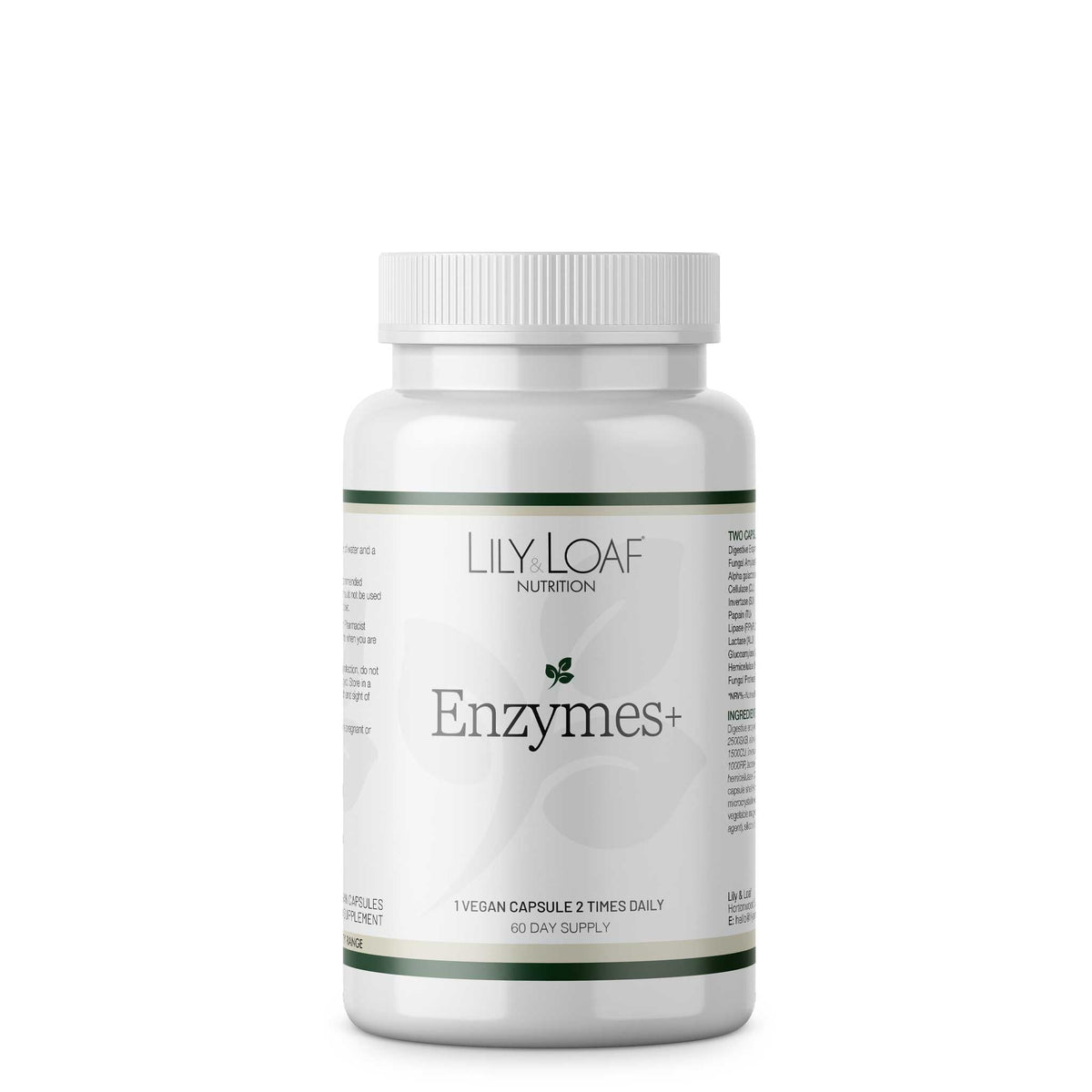 Enzymes +
