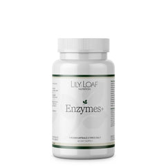 Enzymes +