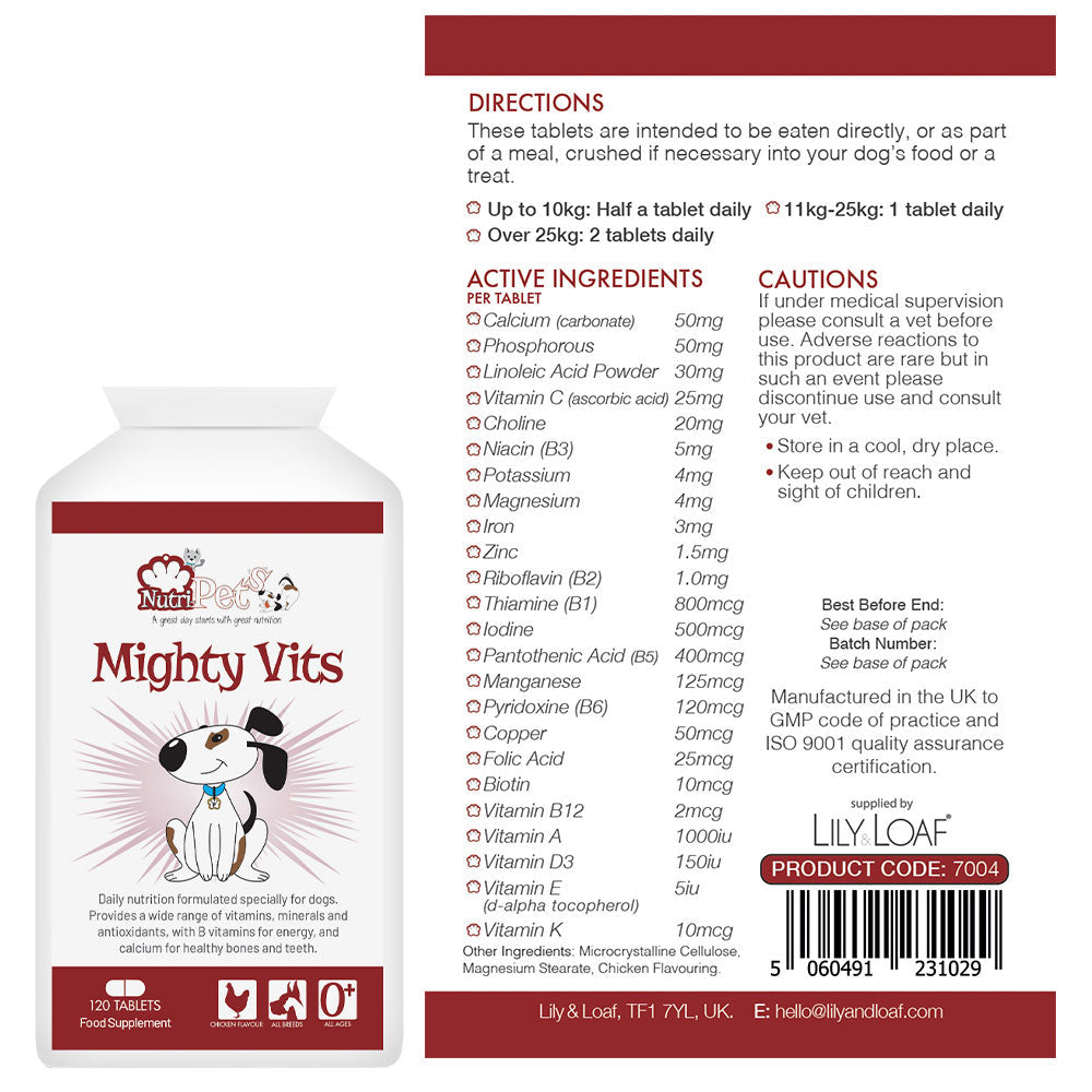 Mighty Vits